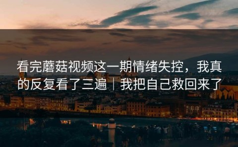 看完蘑菇视频这一期情绪失控，我真的反复看了三遍｜我把自己救回来了