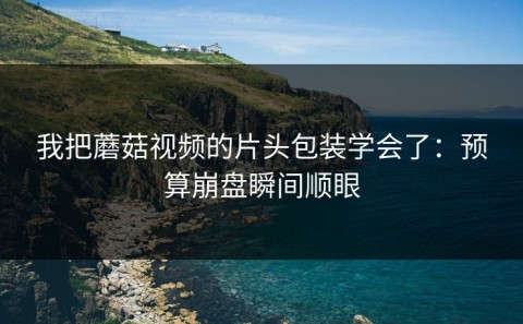 我把蘑菇视频的片头包装学会了：预算崩盘瞬间顺眼