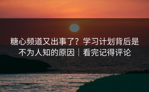 糖心频道又出事了？学习计划背后是不为人知的原因｜看完记得评论