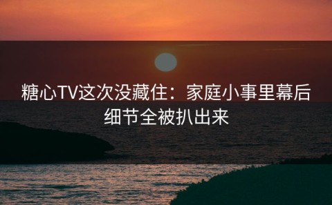 糖心TV这次没藏住：家庭小事里幕后细节全被扒出来