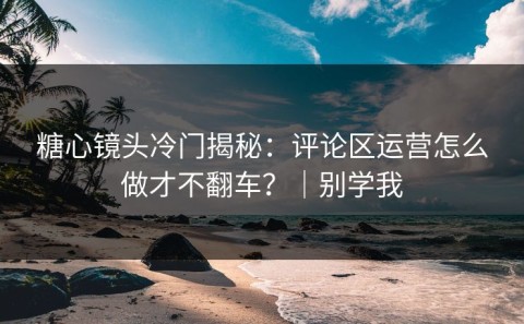 糖心镜头冷门揭秘：评论区运营怎么做才不翻车？｜别学我