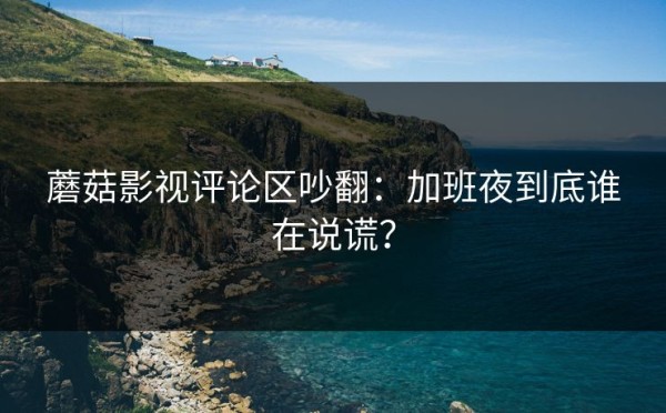 蘑菇影视评论区吵翻：加班夜到底谁在说谎？
