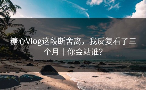 糖心Vlog这段断舍离，我反复看了三个月｜你会站谁？