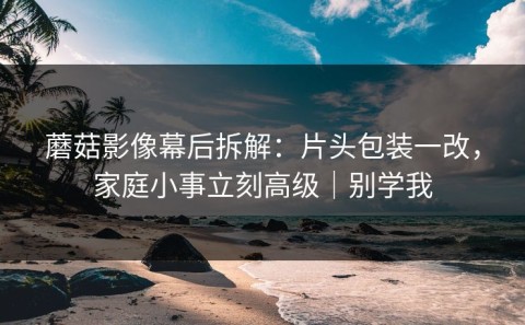 蘑菇影像幕后拆解：片头包装一改，家庭小事立刻高级｜别学我