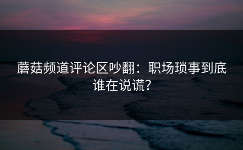 蘑菇频道评论区吵翻：职场琐事到底谁在说谎？