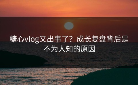 糖心vlog又出事了？成长复盘背后是不为人知的原因