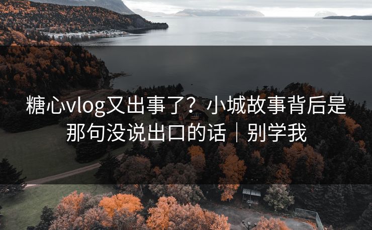 糖心vlog又出事了？小城故事背后是那句没说出口的话｜别学我