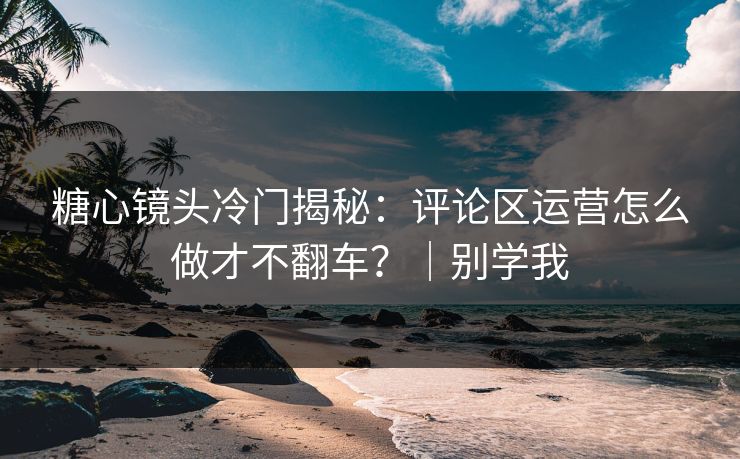 糖心镜头冷门揭秘：评论区运营怎么做才不翻车？｜别学我