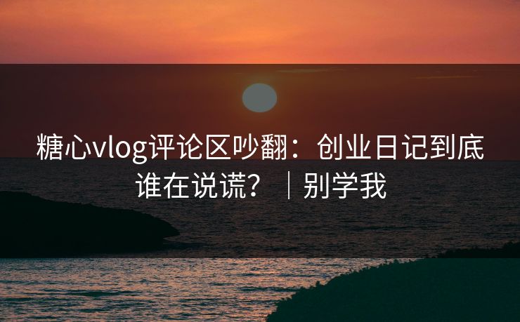 糖心vlog评论区吵翻：创业日记到底谁在说谎？｜别学我