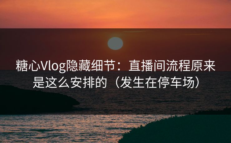 糖心Vlog隐藏细节：直播间流程原来是这么安排的（发生在停车场）
