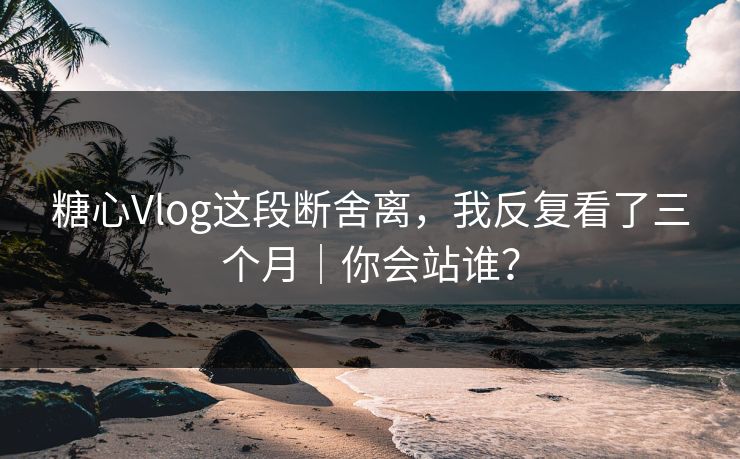糖心Vlog这段断舍离，我反复看了三个月｜你会站谁？
